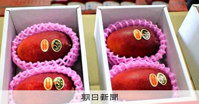 宮崎産ブランドマンゴー、初競り2玉55万円 「ゴーゴーと勢いを」 [宮崎