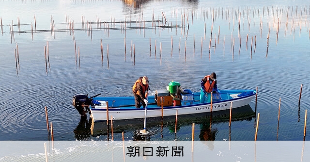 レンズの記憶 東日本大震災）絶景の青ノリ、よくここまで 福島・相馬の