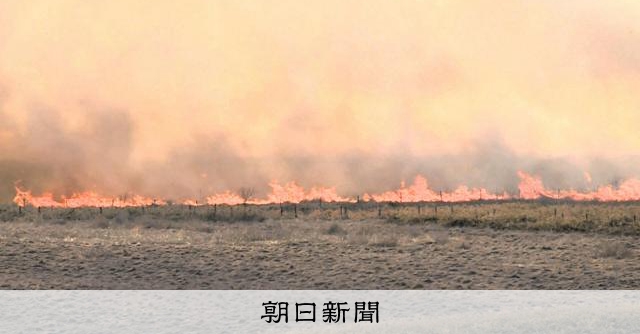 北海道・納沙布岬近くで草地延焼、住宅地に迫る　自衛隊に派遣要請