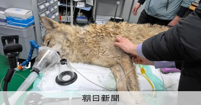 動物たちの力強さを感じる春のお出かけ