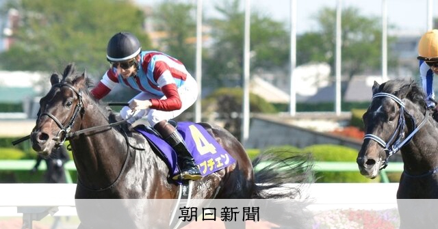 伸び返す、ロブチェンV 競馬G1・皐月賞 19日：朝日新聞