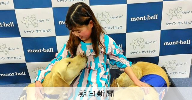病院で癒しの存在、ホスピタル・ファシリティドッグの導入拡大