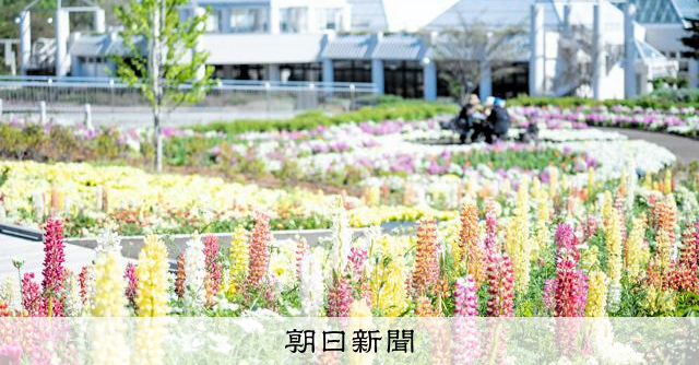 花とともに楽しむ！群馬のフラワーパークイベント