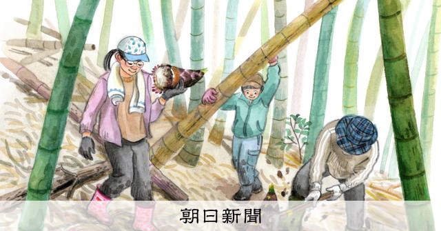 タケノコフェアの前の大仕事 すけのあずさの「くらしの絵便り