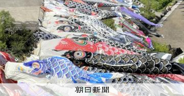 尾びれぶんぶん、500匹のこいのぼりが悠々と 高知・四万十町 [高知県
