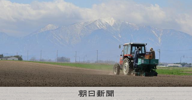 ジャガイモ植え付け、北海道で最盛期　温暖化への対策も 
 
全国のジャガイモ生産量の8割をしめる北海道で、植え付け作業が最盛期を迎えている。雪が解けて、畑が乾くのを待っていた農家にとって、待ちに待った時期だ。