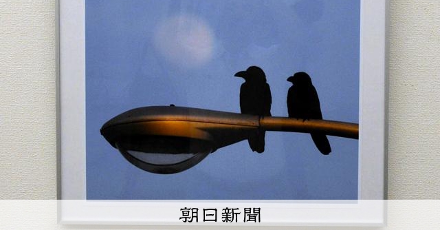 フォト五七五」で真骨頂 野鳥愛好家の追悼写真展、山口で開催中 [山口
