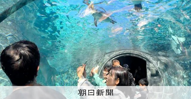 旭山動物園、2日遅れで夏の営業開始「事件に複雑…でもホッとした」