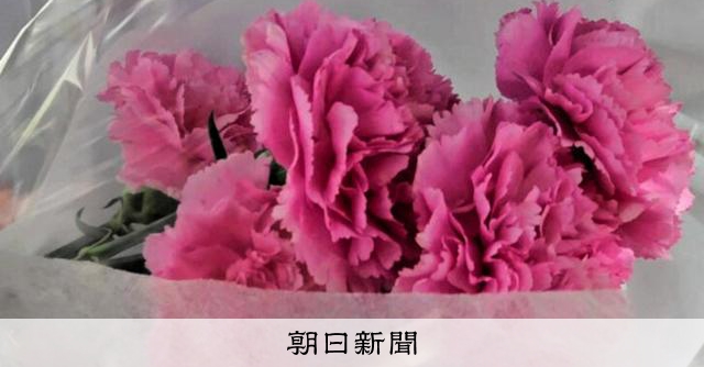 母親節「必須」感謝嗎？停止送禮女性的窒息感