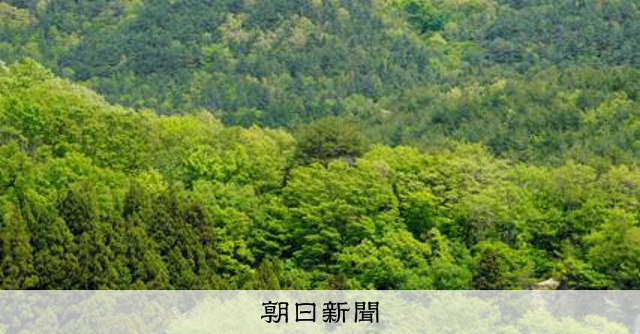 磐越道巴士事故 國交省展開對巴士運行公司的監査