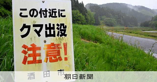 知事「山菜採り控えて」　クマ被害相次ぐ山形、入山規制「悩ましい」 
 
山形県内で山菜採りで山林に入った人がクマに襲われる事故が相次いでいることを受け、吉村美栄子知事は13日、「山菜採りで山に入るのは危険。