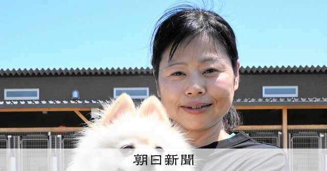 警察犬はポメラニアン、伸びしろしかない 宮崎県警・ハクくん：朝日新聞