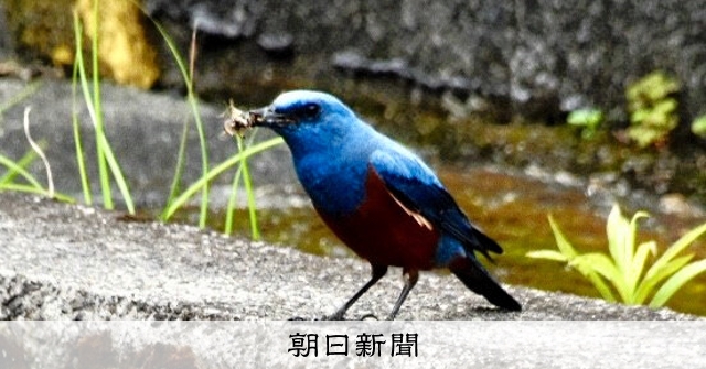 AS20260515006711_comm.jpg