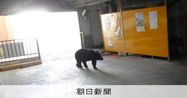 青森縣網站「熊出沒紀錄」遭惡意灌假訊息，縣府已報警調查