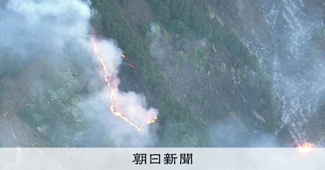 日本津市山林火災延燒近10公頃 鎮火無望