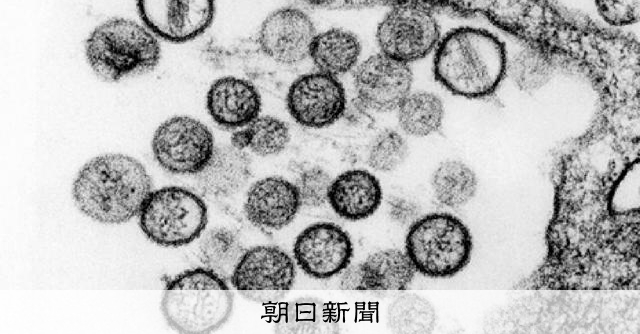 クルーズ船で注目ハンタウイルス　コロナとの違いは？専門家に聞いた