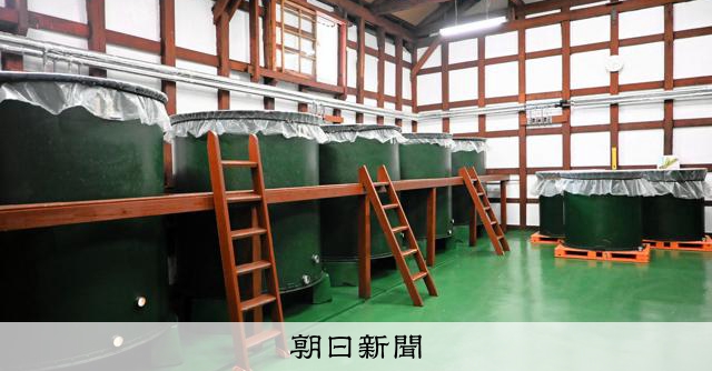 日本酒熱潮下的暗影：酒藏再生者疑因缺氧在酒槽中身亡，類似事故頻傳