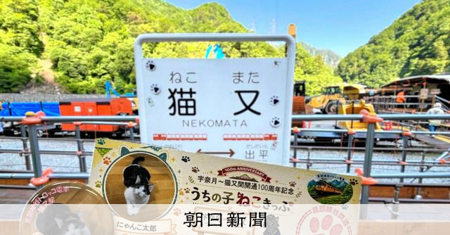 猫又駅100周年！愛猫の写真で「うちの子ねこきっぷ」をゲットしよう