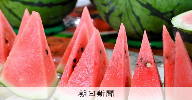 新人さんいらっしゃい 倉吉スイカ「日本一」の理由 販売もV字回復