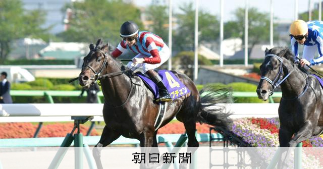 競馬の祭典「日本ダービー」 今年の主役は新種牡馬の子どもたち：朝日新聞
