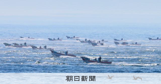 北方領土・貝殻島周辺でコンブ漁がスタート　船団が一斉に出漁 
 
北方領土・歯舞群島の貝殻島周辺海域で1日、日本漁船によるコンブ漁が始まった。本土最東端の納沙布岬（北海道根室市）の沖合には、早朝からコンブ漁の船団が集結した。青空が広がり、海は穏やか。