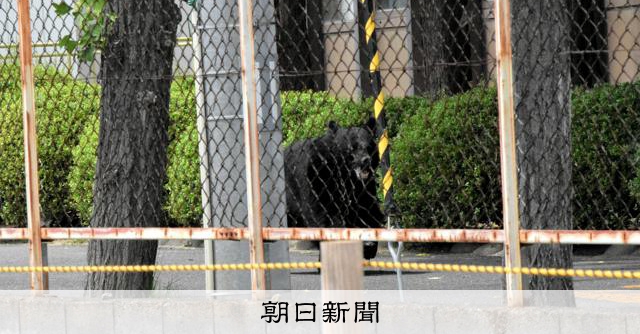 福島で4人襲ったクマ、いまだ事業所内に　ハンターとにらみ合い続く