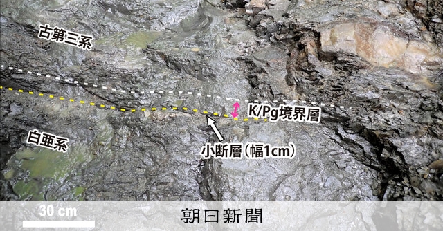 1万円引き！✨入手不可！小惑星のかけら Ｋ-Ｔ境界層（K/Pg境界頁岩）標本大 小惑星衝突示す地層、北海道で発見 6600万年前、恐竜絶滅の原因に