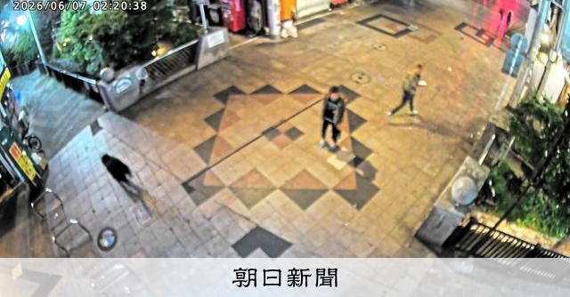 宇都宮市の中心部でクマ目撃情報 2日間で計20件 北から南に:朝日新聞