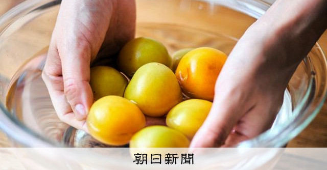 梅酒、梅干し…定番を脱して魅力再発見 少しの量で楽しめる梅仕事：朝日新聞