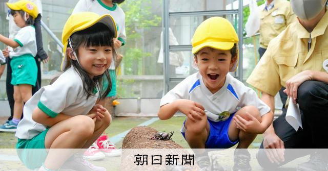カブトムシと触れる特別な体験