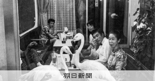 朝日新聞写真館 since1904）鳥と人間 癒やされ、近づき、助け