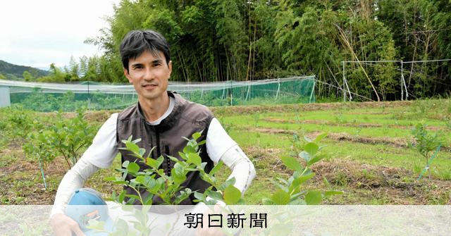 現役農家經營的農業塾 培育多元農業人才 大阪富田林