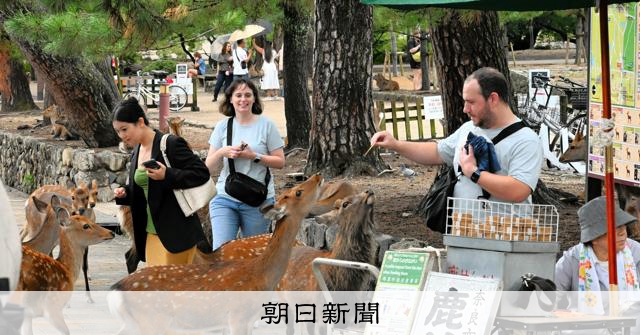 奈良公園のシカの「ガラパゴス化」の歴史に迫る 新著『そのシカ、どこから来たと思います？』が話題