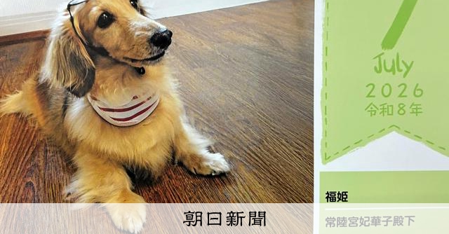 常陸宮妃華子殿下迎86歲 憶愛犬「活著的證明」化為詩句