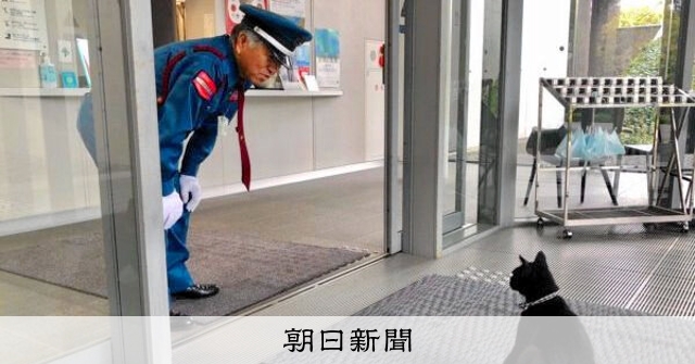 黒猫ケンちゃん、やっと美術館に入れたね　「盟友」警備員さんの手で：朝日新聞