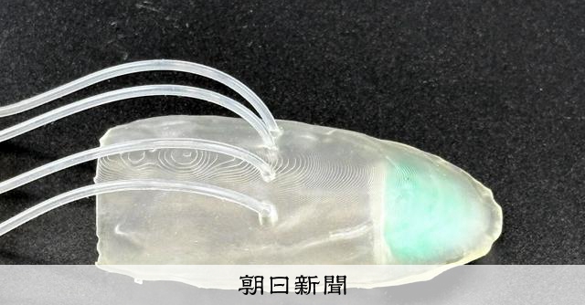 災害現場向け「サイボーグ昆虫」の潜水スーツ開発、水中で3時間活動:朝日新聞