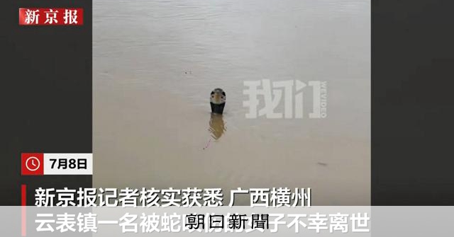中国で洪水、養殖場からヘビ900匹近く逃げ出す　かまれた女性死亡：朝日新聞