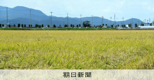改正食糧法が成立、「需要に応じた生産」明記 「先祖返り」の批判も:朝日新聞