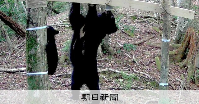 AS20260708004628_comm.jpg