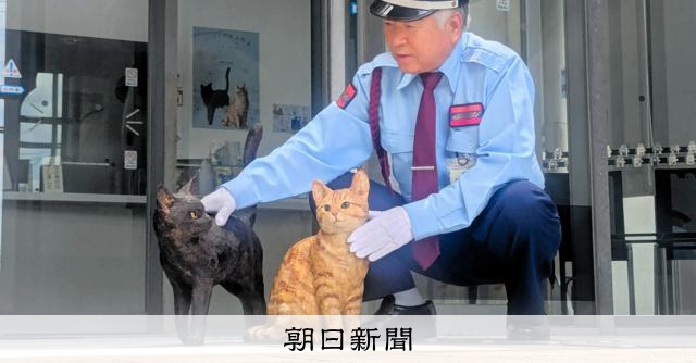 猫と警備員、やっと美術館に入れたよ　木彫りの黒猫ケンちゃんが入館：朝日新聞