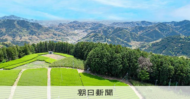 茶畑の「サブスク」で耕作放棄地を再生 茶農家出身の起業家が挑戦:朝日新聞
