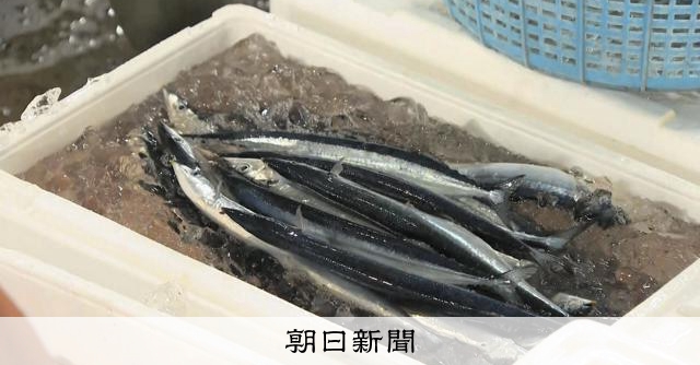 釧路港でサンマ流し網漁初水揚げ 1キロ44万円で最高値更新:朝日新聞