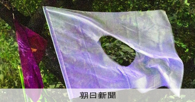 これも国旗損壊？「穴あき」フラッグ制作者が思う　法案のばからしさ：朝日新聞