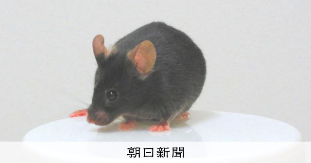 思春期に多い骨肉腫の発症メカニズム解明 東大と慶大が老化研究から偶然発見