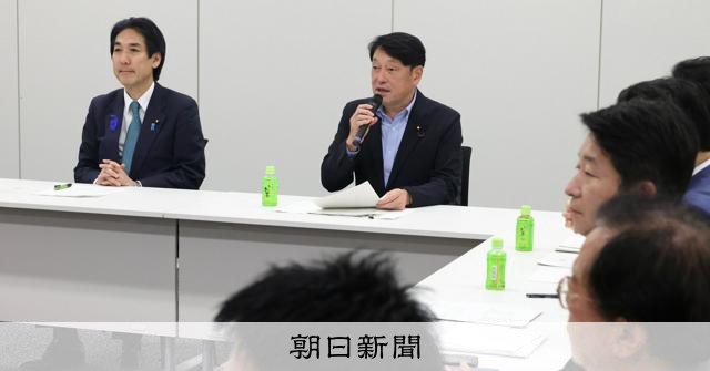 新給付制度、2029年4月本格導入へ 中低所得者対象で合意