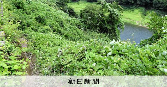 奈良2女遺體棄置案嫌犯供稱：開車載運並獨自棄屍
