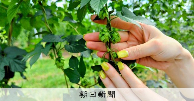 R&D強化、酒類と飲料・ヘルスケア、医薬を軸に キリン南方社長:朝日新聞