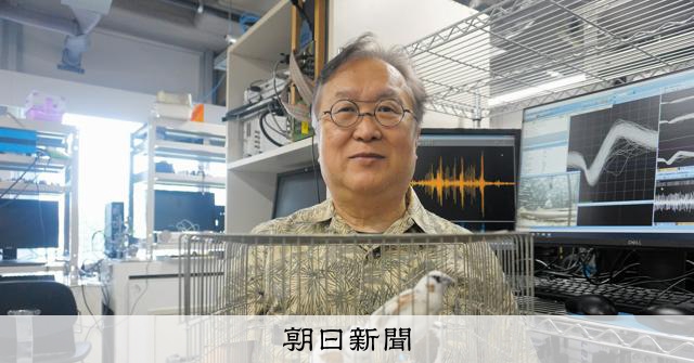 ジュウシマツのさえずりを37年研究 ヒトの言語の起源に迫る:朝日新聞