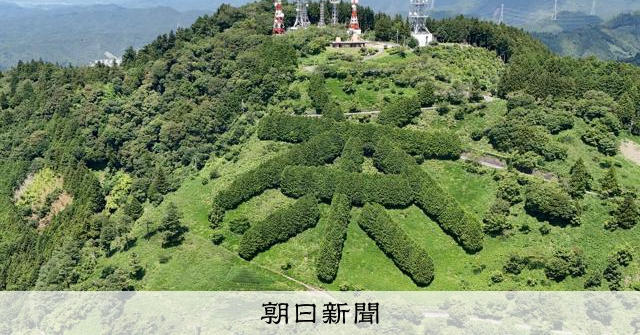 静岡・掛川の山肌に巨大「茶」文字 ヒノキ千本でPR