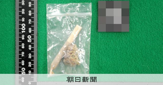仙台市の中学生、大麻所持で逮捕　乾燥大麻など押収